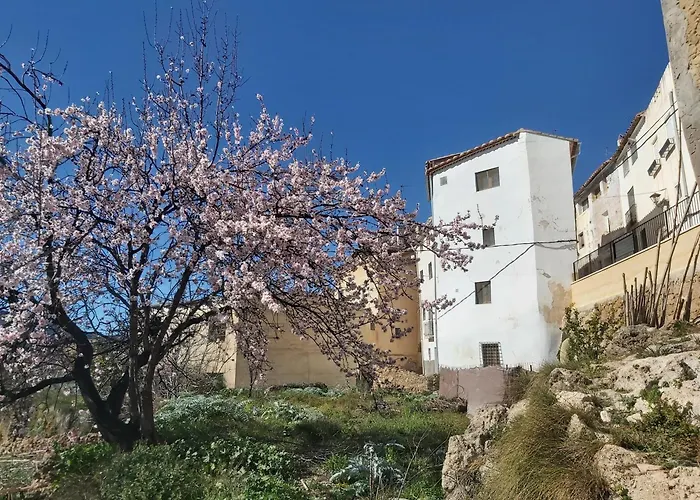 Candela De La Murtera